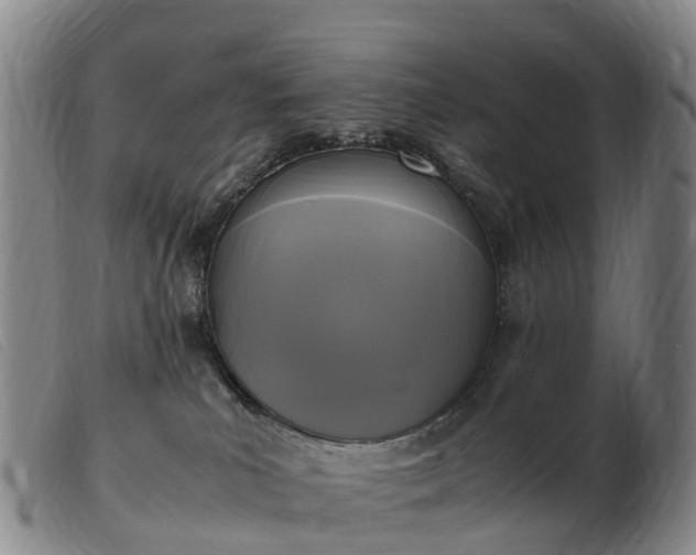 X0000103430039200809191711