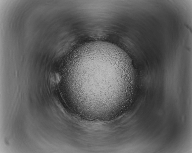 X0000103430040200809191711