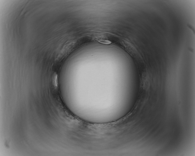 X0000103430041200809191711