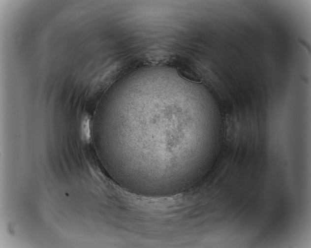 X0000103430042200809191711