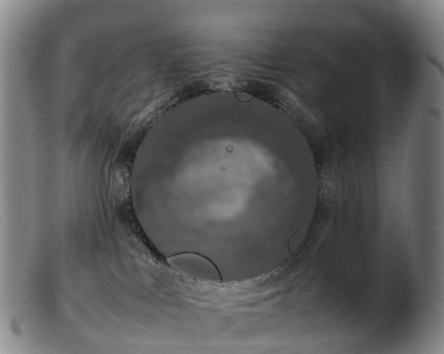 X0000103430043200809191711