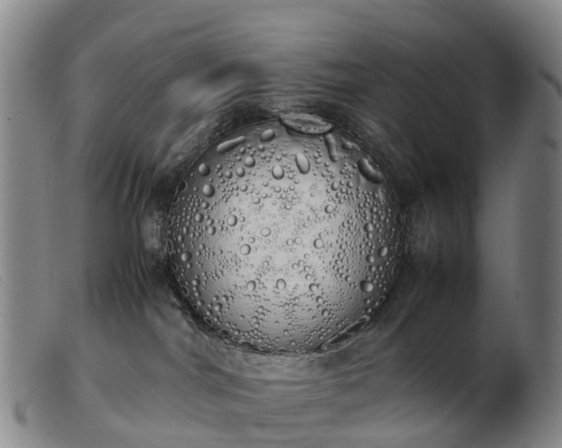 X0000103430044200809191711