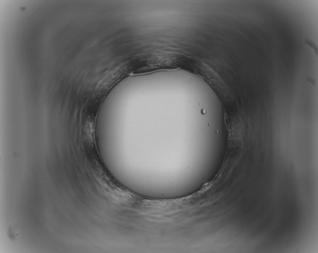 X0000103430045200809191711