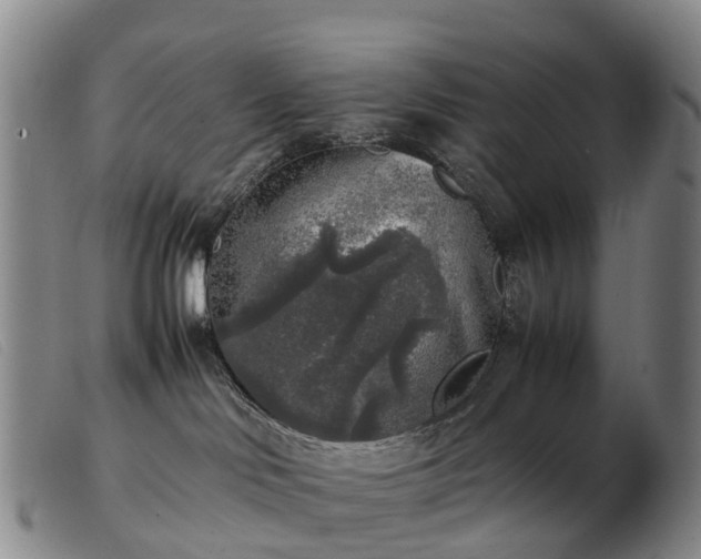 X0000103430046200809191711