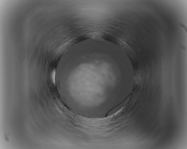 X0000103430047200809191711