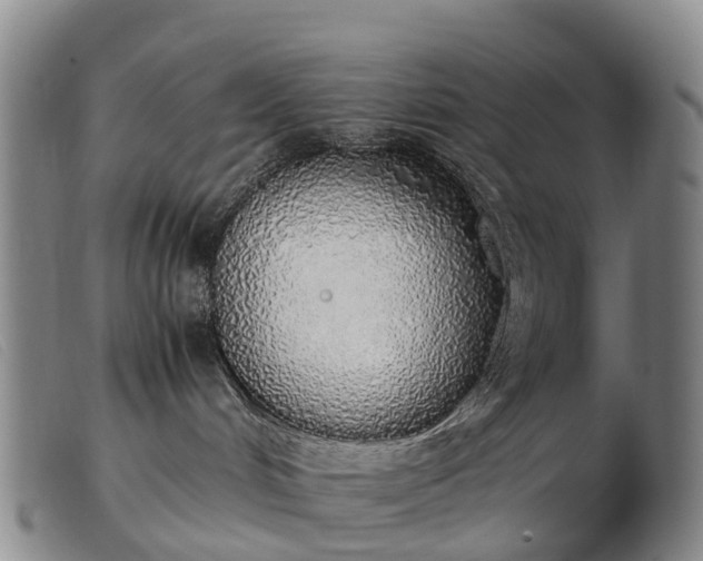 X0000103430048200809191711