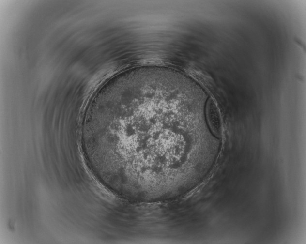 X0000103430049200809191710