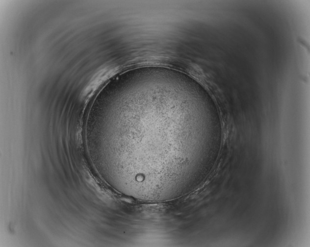 X0000103430050200809191710