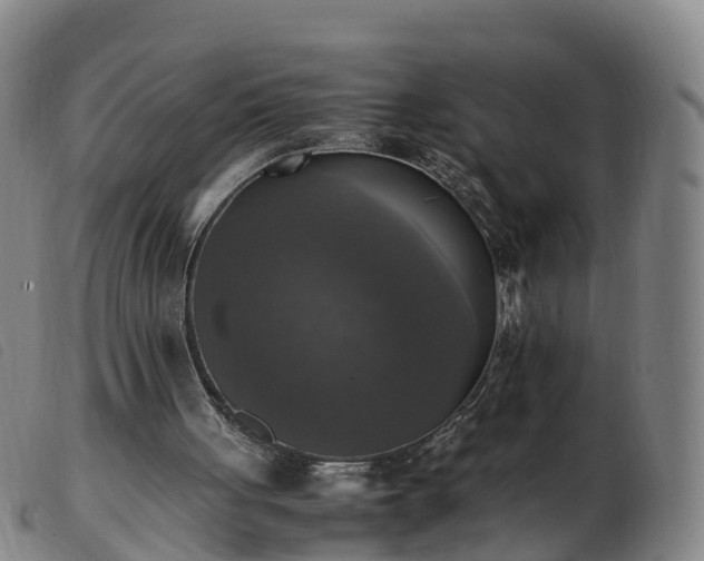 X0000103430051200809191710