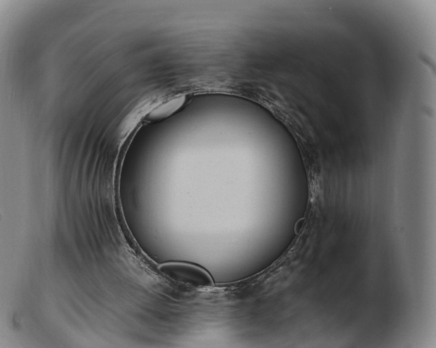 X0000103430052200809191710