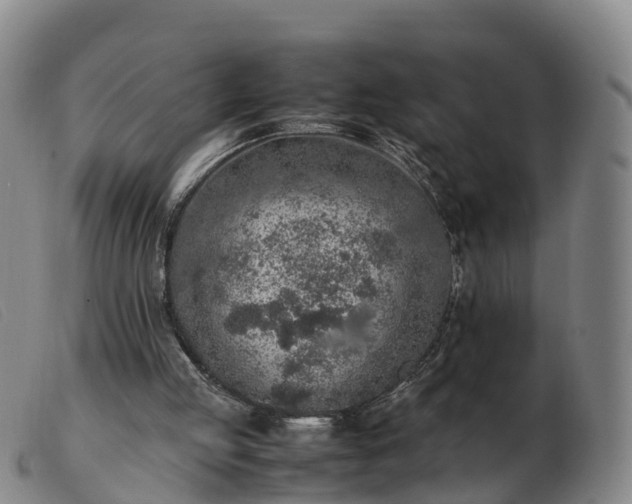 X0000103430053200809191710