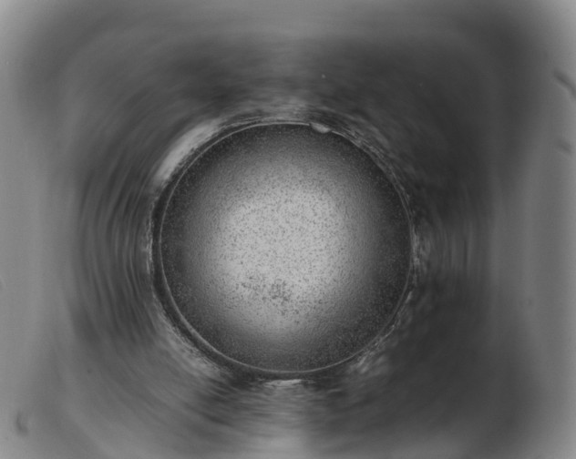 X0000103430054200809191710