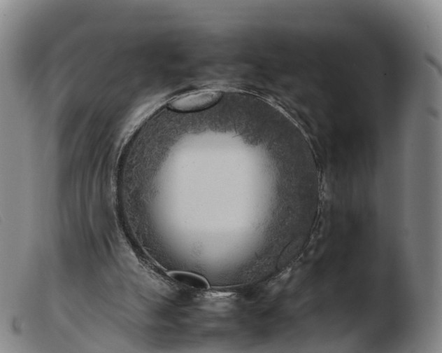 X0000103430055200809191710