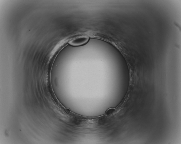 X0000103430056200809191710