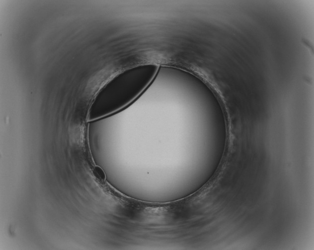 X0000103430057200809191710