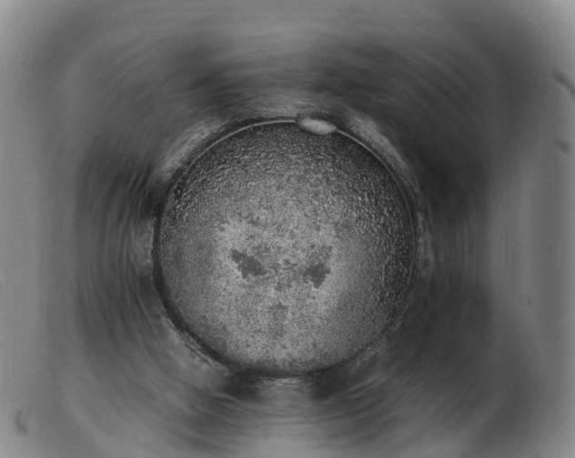 X0000103430058200809191710