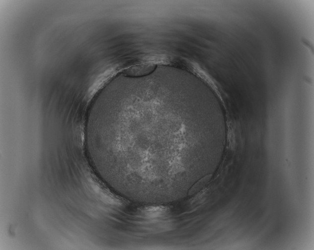 X0000103430059200809191710