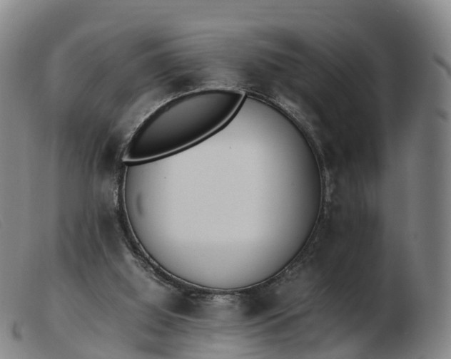 X0000103430060200809191710