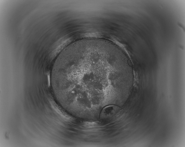 X0000103430061200809191710