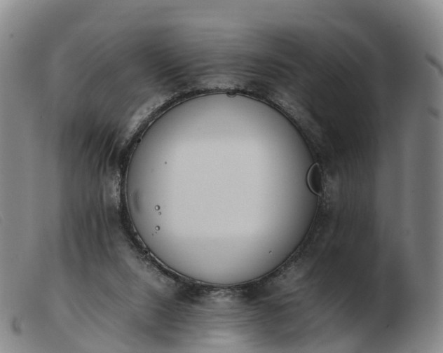 X0000103430064200809191710