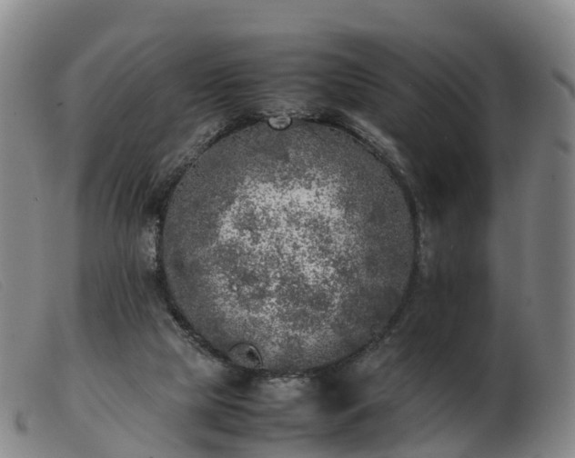 X0000103430065200809191710