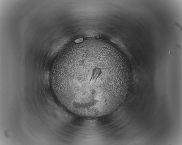 X0000103430066200809191710