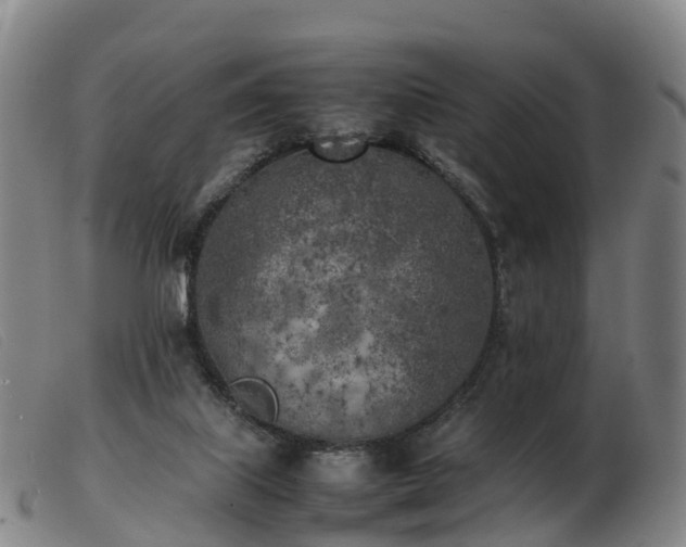 X0000103430067200809191710