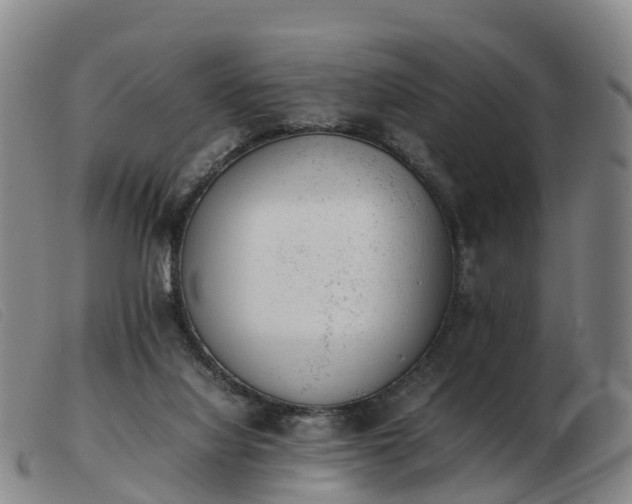 X0000103430068200809191710