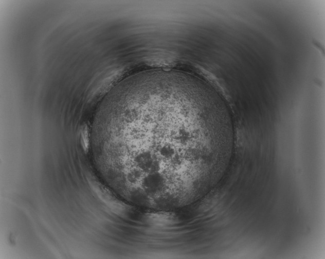 X0000103430069200809191710