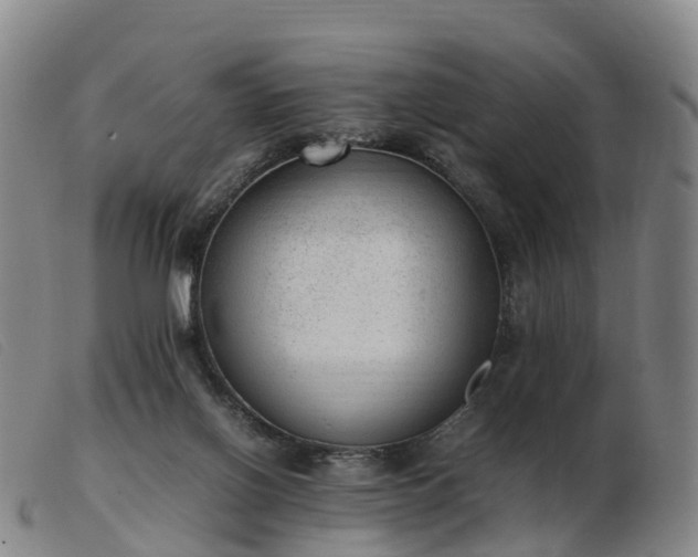 X0000103430070200809191710