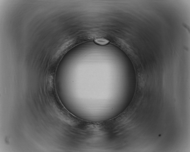 X0000103430071200809191710