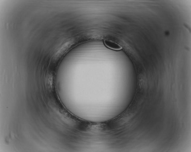 X0000103430072200809191710