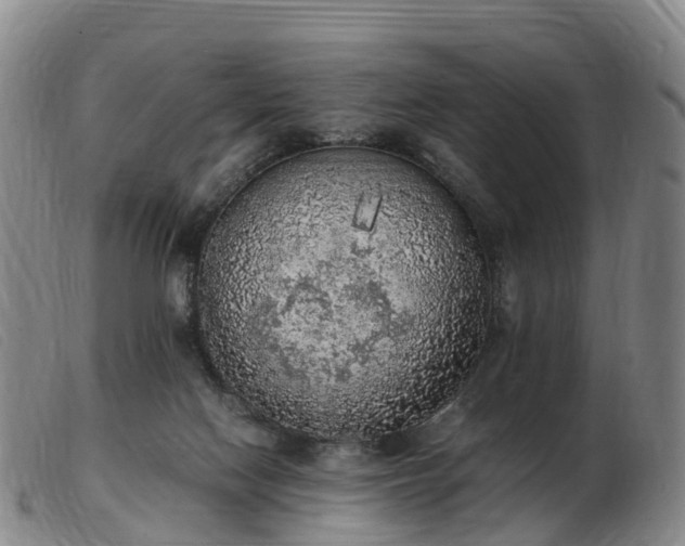 X0000103430074200809191710