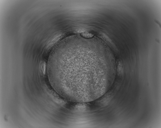 X0000103430076200809191711