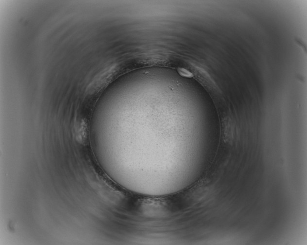 X0000103430077200809191711