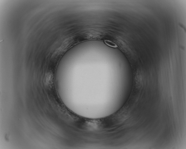 X0000103430079200809191711