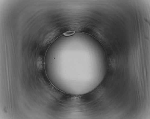 X0000103430080200809191711