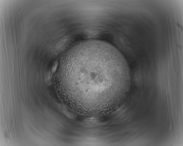 X0000103430082200809191711