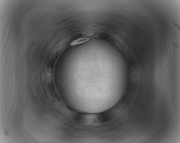 X0000103430085200809191711