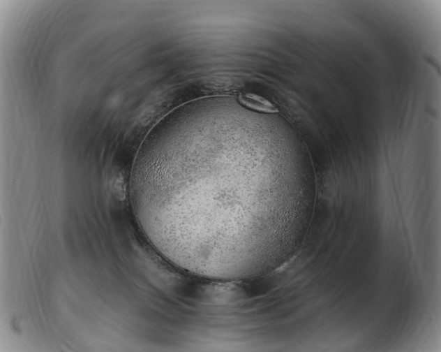 X0000103430086200809191711