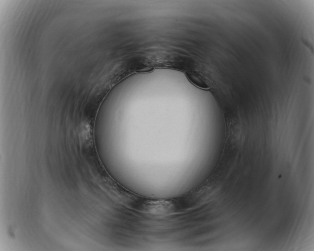 X0000103430087200809191711