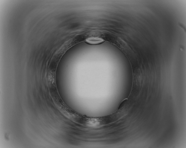 X0000103430091200809191711