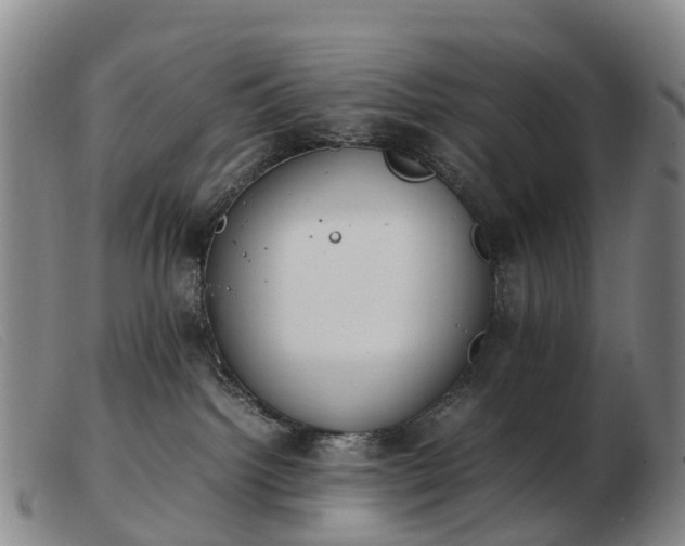 X0000103430092200809191711