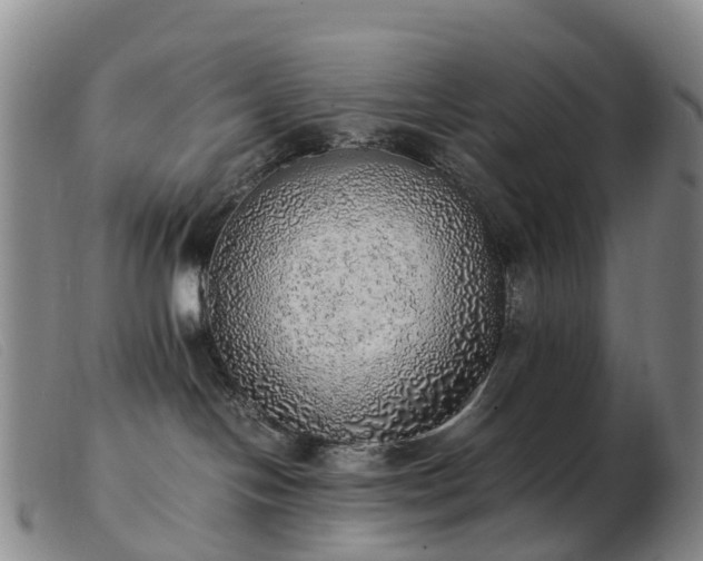 X0000103430094200809191711