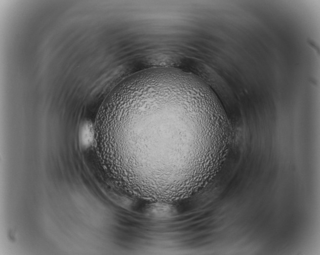 X0000103430095200809191711