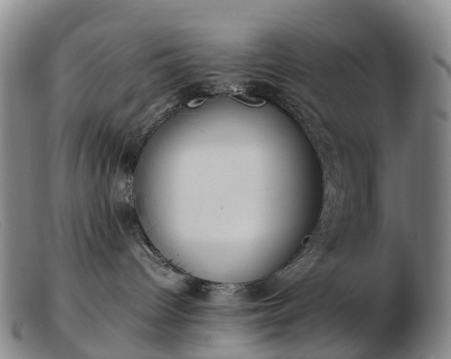 X0000103430096200809191711