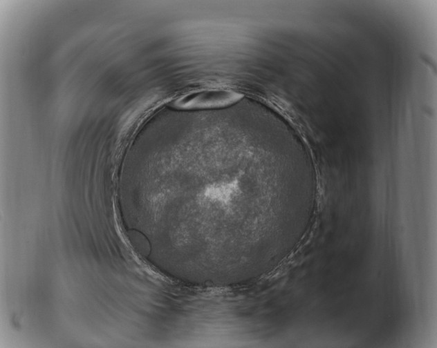 X0000103430097200809191710