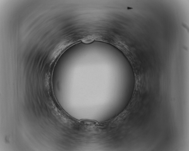 X0000103430098200809191710