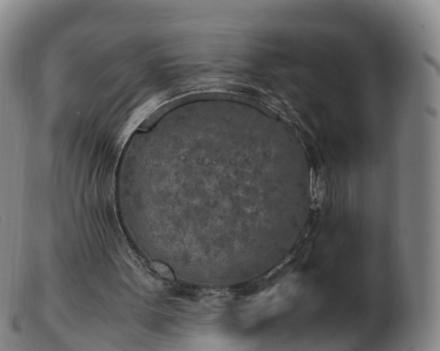 X0000103430099200809191710