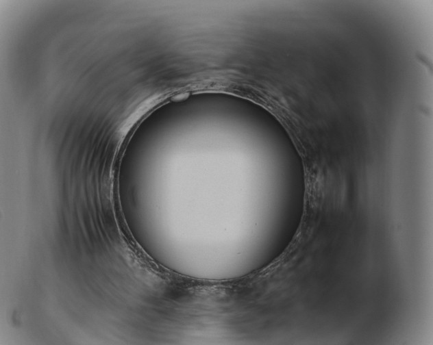 X0000103430100200809191710